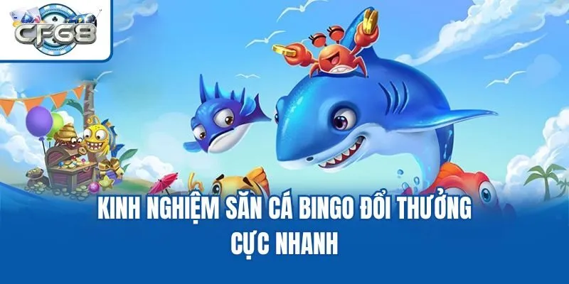 Kinh nghiệm săn cá Bingo đổi thưởng cực nhanh